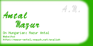 antal mazur business card